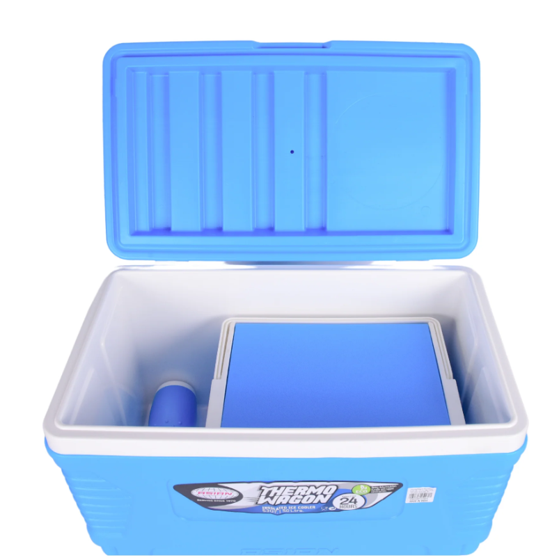 Asian Thermo Wagon Ice Cooler Set Of 4 Large Blue
