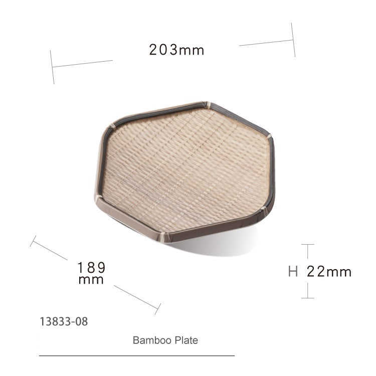 Shunta Plate 13833-08