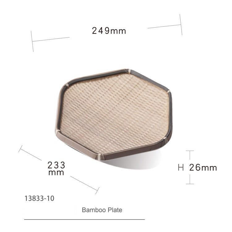 Shunta Plate 13833-10