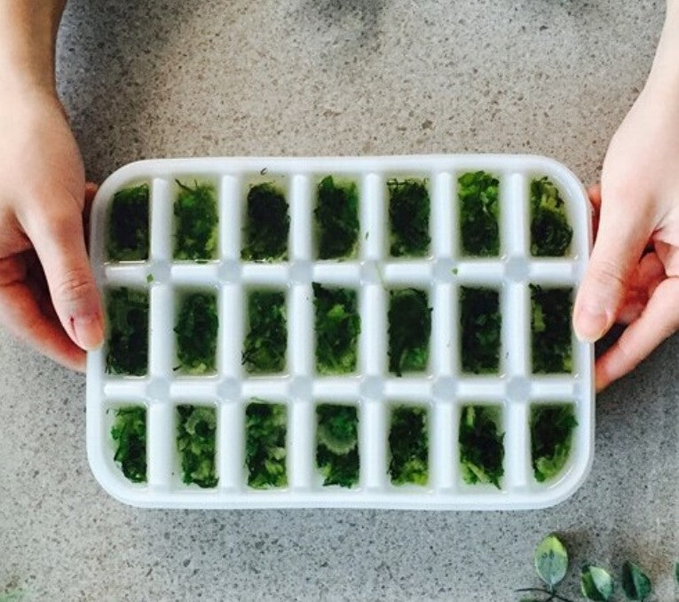 Komax Ice Cube Box