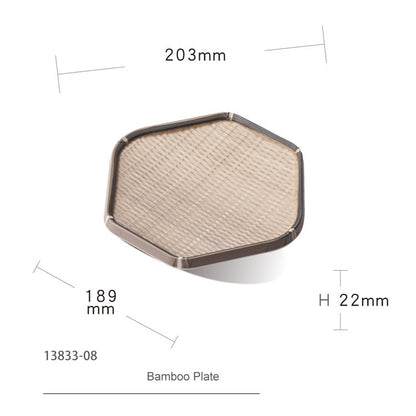 Shunta Plate 13833-08